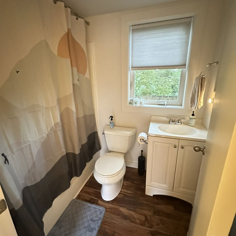 Full bathroom with shower/tub combo obscured by shower curtain with graphic scene of sunset behind mountains. Screened window opens. Various toiletries and bathing care resources stored beneath the sink.